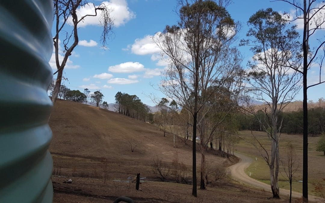 Bushfire recovery assistance